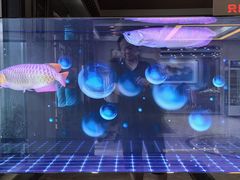 -民族饭荘(新华大街店)