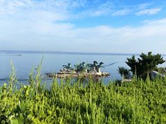 -养马岛旅游度假区