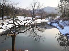 -镇江市南山风景名胜区竹林景区