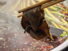 纯鲜毛肚-储奇门鳝鱼火锅(总店)