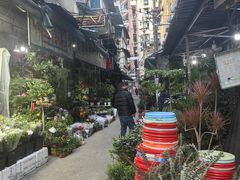 -循礼门鲜花花市(武汉循礼门店)