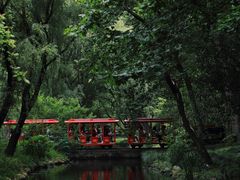 -上海共青森林公园