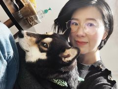 -逗柴咖啡屋·狗咖猫咖宠物桌游