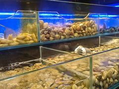 -苏格里岛自助海鲜烤肉(中州万达店)