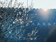 -绮园景区