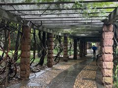 -采石矶景区