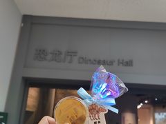 -重庆自然博物馆(新馆)