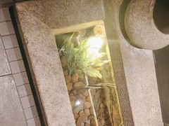 -佬麻雀·新湘菜(东方宝泰店)