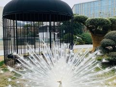 -阿纳迪酒店·秘境西餐厅