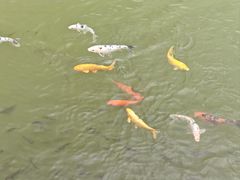 -泉州海丝野生动物世界