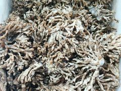 -畲乡一品鱼府土菜馆