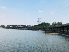 -八大山人梅湖景区