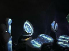 -贝壳梦幻世界