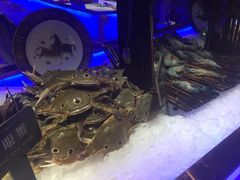 -加餐海鲜自助(宝龙一城店)
