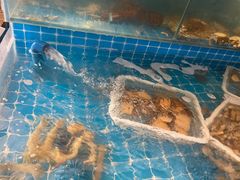 -锅老头铁锅炖•大锅蒸汽海鲜(韩乐坊店)