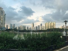 -西北湖绿化广场
