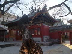 -贤良祠