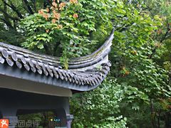 -蒋氏故居