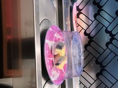 -三禾寿司(南城印象汇店)