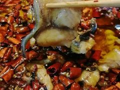 水煮鲶鱼-望京一号·重庆江湖菜(工体店)