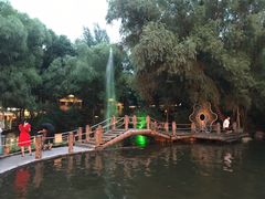 -大鹅岛绿色生态美食园