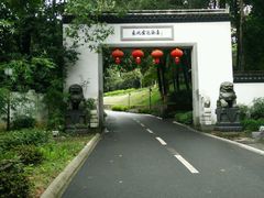 -东航云逸酒店(九溪烟树店)