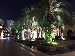 -三亚湾红树林度假世界(木棉酒店)