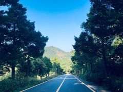 -深圳仙湖植物园-停车场