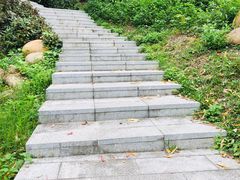 -火炉山森林公园