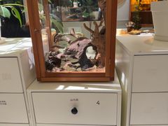 -一尺花园(安和花园店)