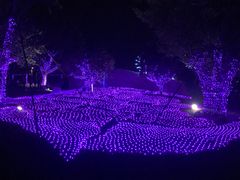 -琅岐红光湖公园