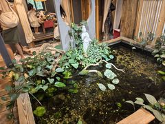 -邈墨茶馆(大兜路1号店)