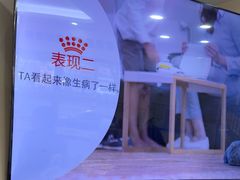 -全心全意连锁动物医院·微创中心·内科急重症·心脏专科(丰管路店)