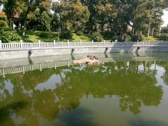 -梵天禅寺