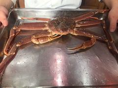 -綱元·海鲜豆捞(明州里店)