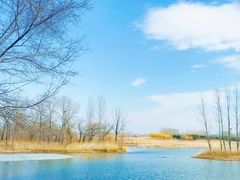-蒲河岛湿地公园
