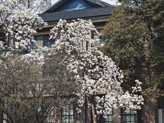 -花锦堂·隐庐