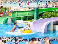 -重庆海昌加勒比海水世界