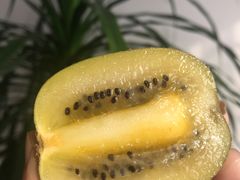 黄心猕猴桃-叶氏兄弟(大连奥特莱斯店)