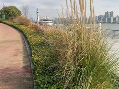 -秦皇岛路游船码头