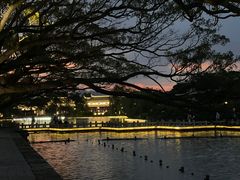 -江心屿景区