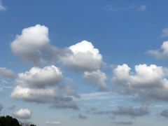 -上海市第六人民医院(临港院区)