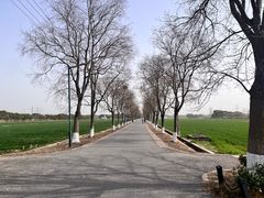 -嘉北郊野公园