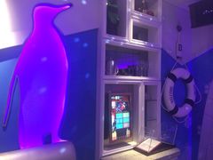 -米乐星世界KTV