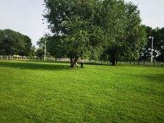 -北京群众马术培训基地