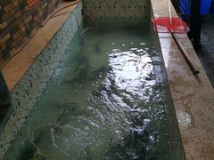 -荣德灶台鱼(圣泉寺店)