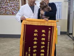 -美联众合动物医院·24h转诊中心
