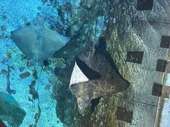 -大连圣亚海洋世界