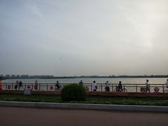 -丁香湖公园