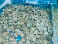 -海韵之星邮轮水会(明发商业广场店)